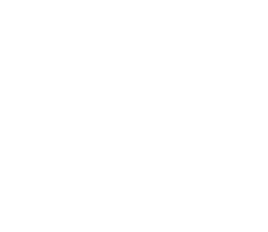 Logo La Ceiba