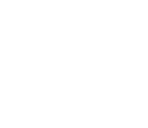 Logo Tulipanes